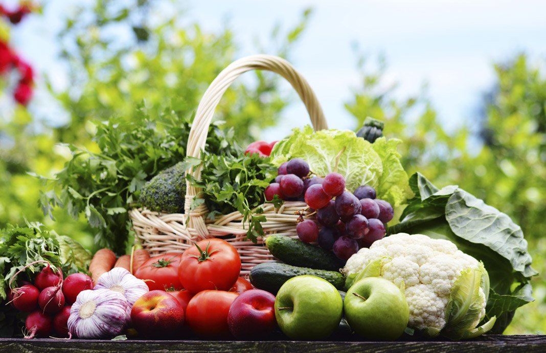 Healthy Meals To Avoid Obesity